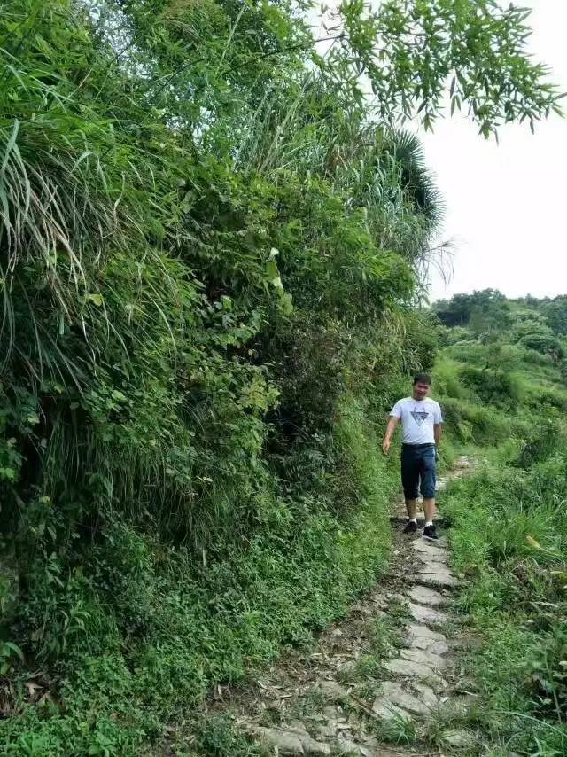 青田多少人口_青田灯光冻石硬度多少