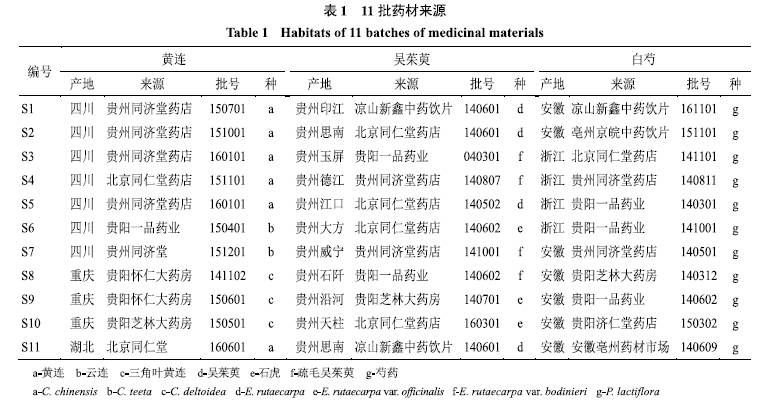 抑制酶简谱_儿歌简谱