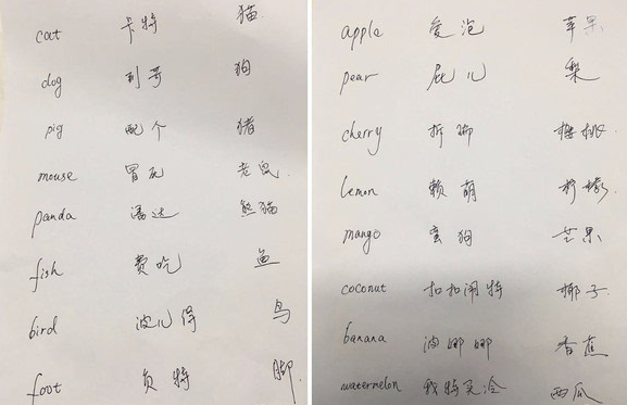 外國人學習漢語，如果有漢語四六級，我想應該是這樣子的 生活 第2張
