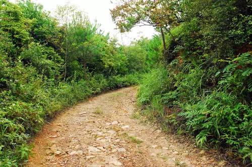 山路崎岖,妖妍多姿的山峰叠障,巍峨起伏的崇山峻岭,不久就耸立在我的