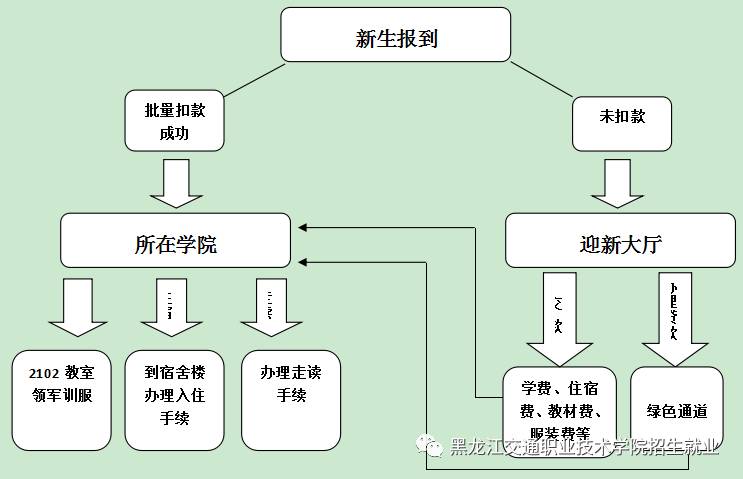 新生报到流程图