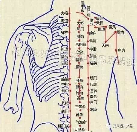 选择太渊,因此穴为肺经原穴,肺经经气最为旺盛