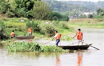 合川三庙人口_合川区三庙镇图片(2)