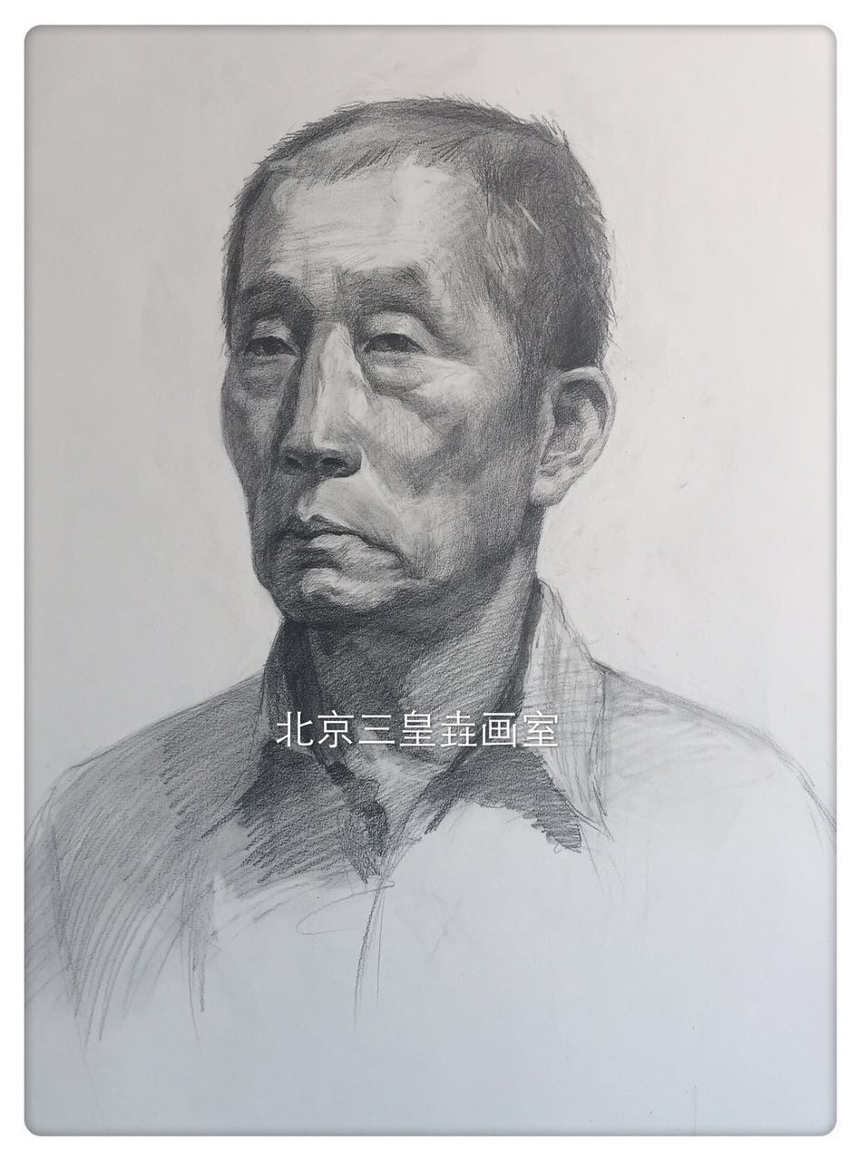 学员素描头像两周小结 作品欣赏