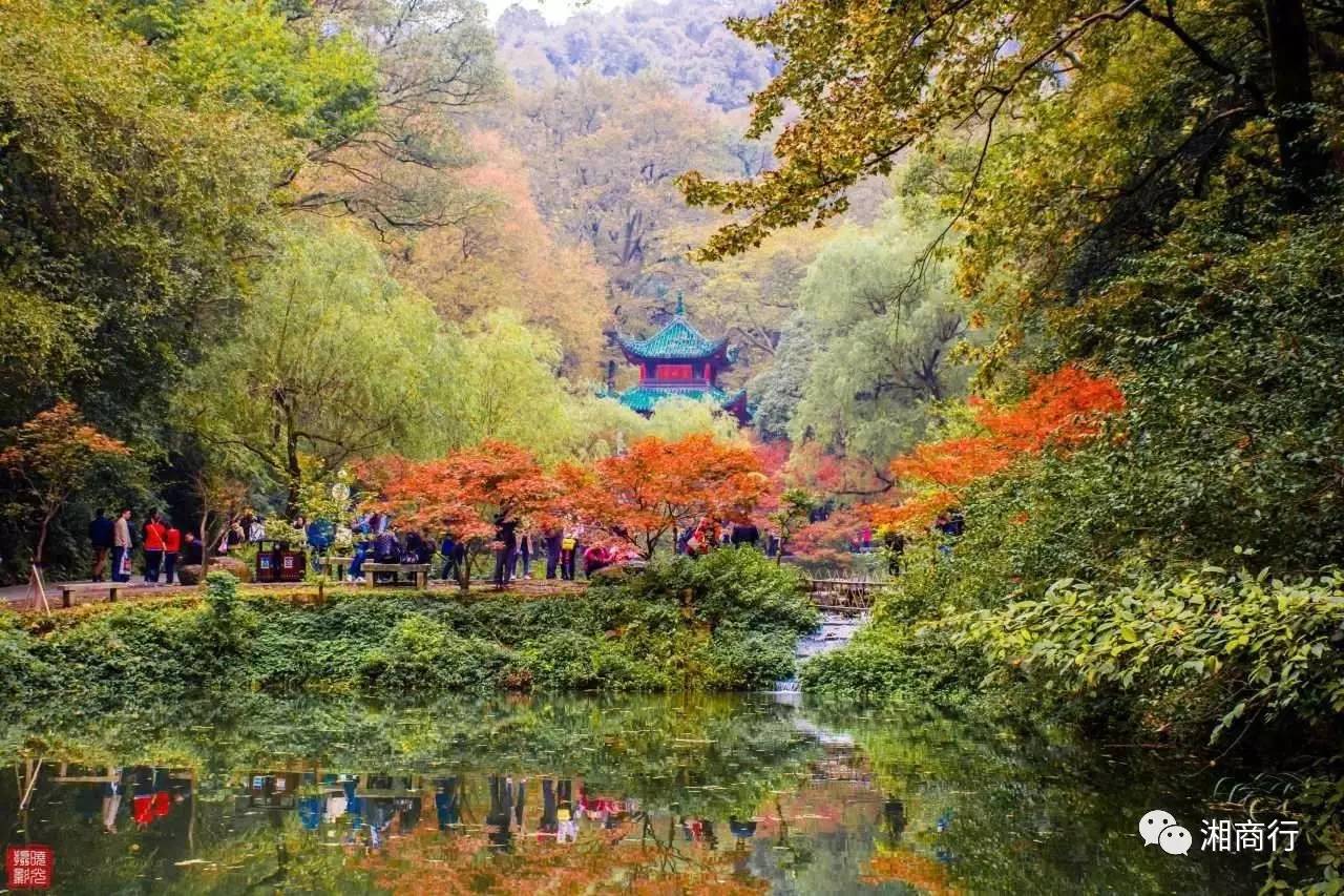 岳麓山顶的风景图片素材-编号24144809-图行天下