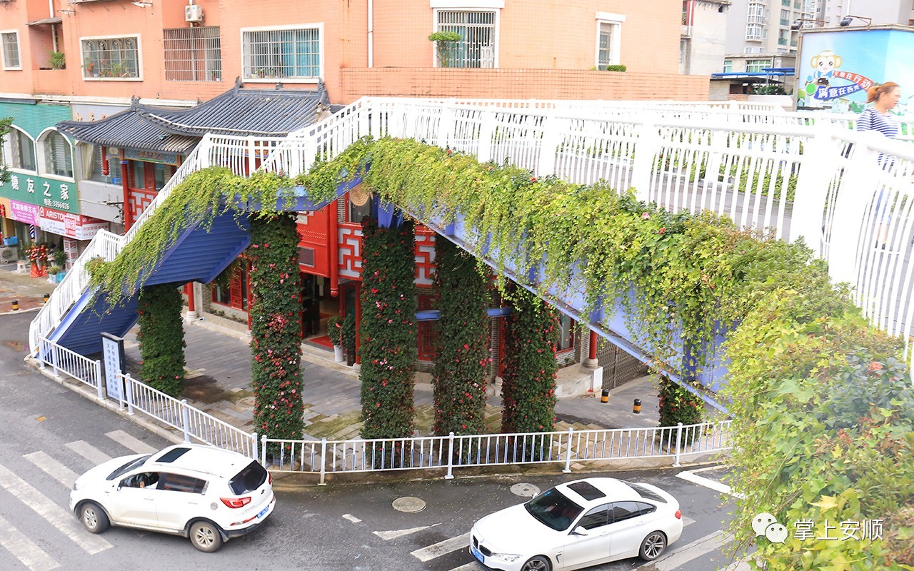 龙泉三岔路口,市府路十字路口等七座天桥,植物以杜鹃为主,辅以草花,藤