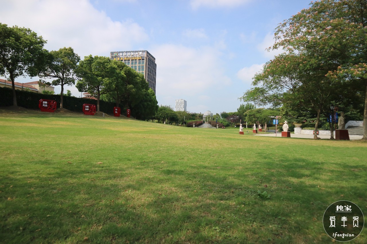 奉贤境内最大的免费公园,就连停车都免费!举家出行圣地吖