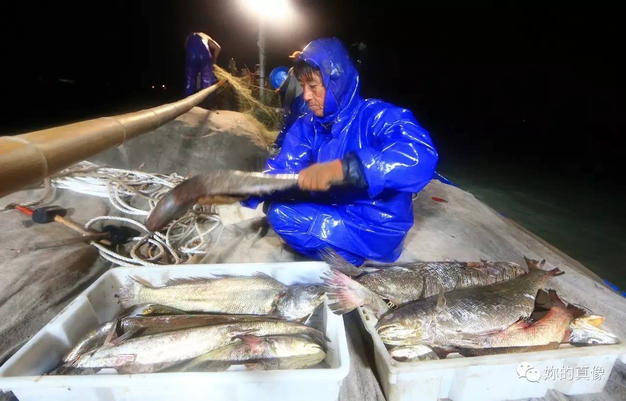 炳哥视线第18期靠海吃海出海抲鮸鱼喽