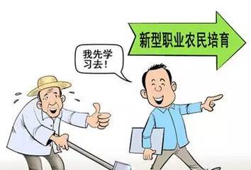 当农民成为令人羡慕的职业,会有哪些不同?