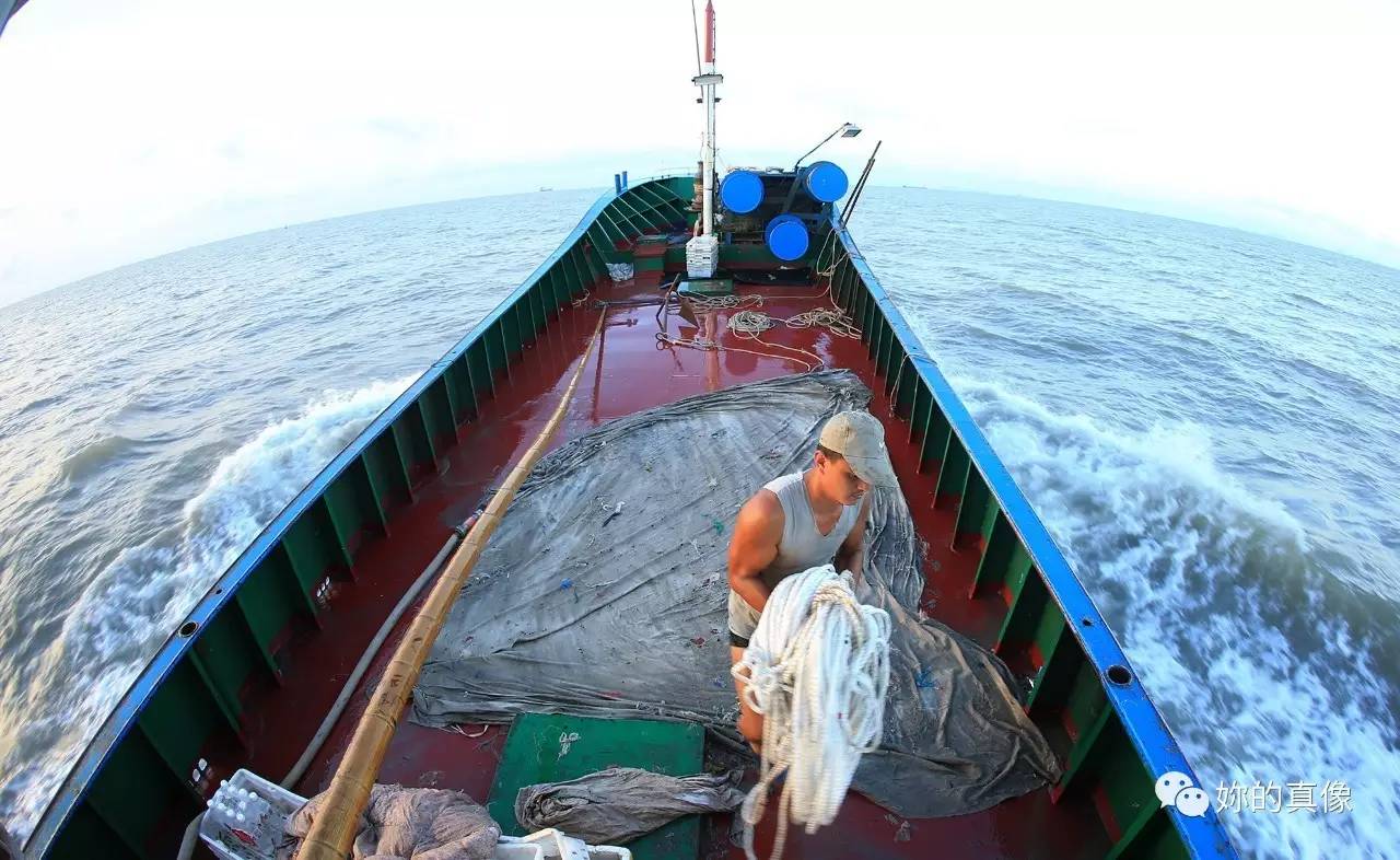 炳哥视线第18期靠海吃海出海抲鮸鱼喽