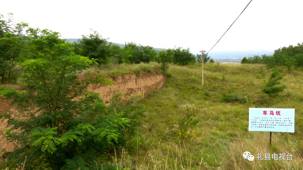 礼县大堡子山遗址及墓群为秦第一陵区,是探索早期秦文化的重要遗址.