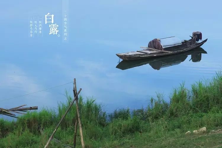 民间有"春茶苦,夏茶涩,要喝茶,秋白露"哪说法.