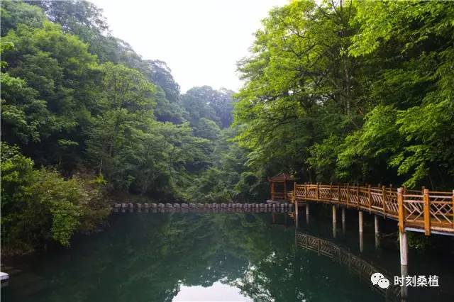 桑植最美乡村张家界的最高峰斗篷山