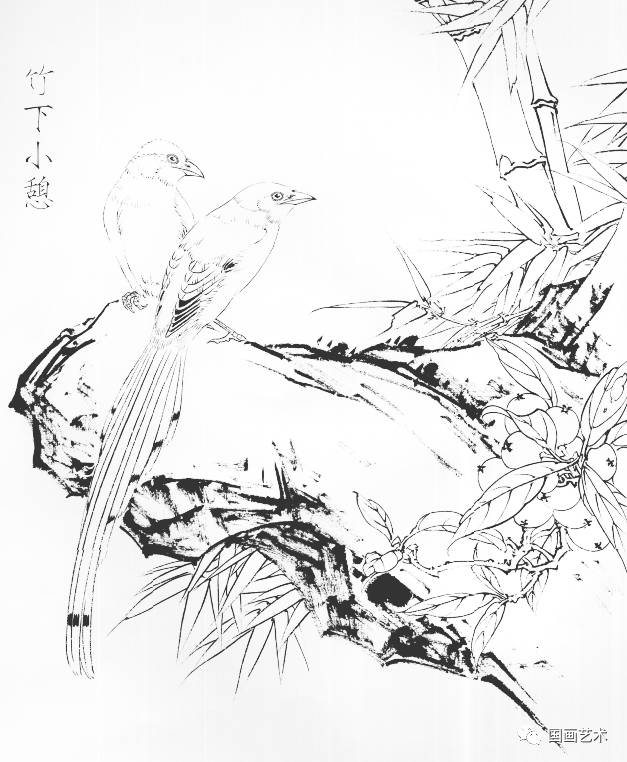 花卉禽鸟白描画稿选页欣赏