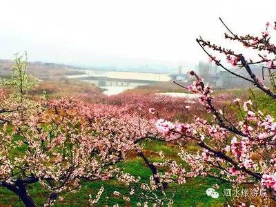 泗水县精心打造圣地桃源乡村旅游集聚区图片