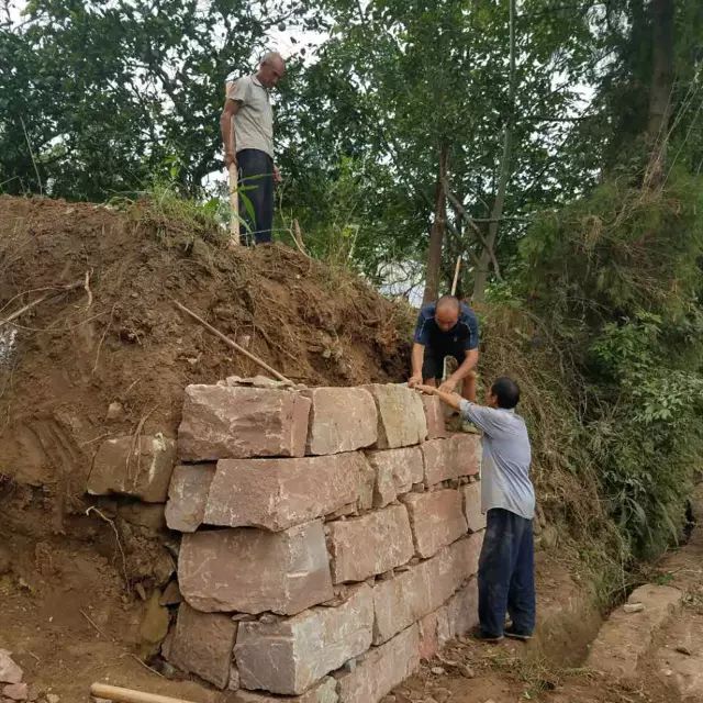 包括放线,浇垫层,做砖基,浇筑圈梁,做毛条石挡土墙等,其次是果园和