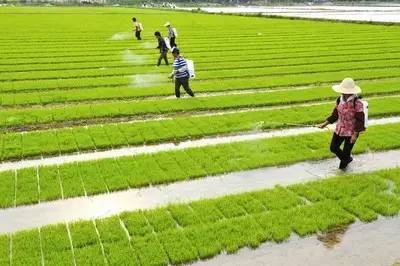 满地商机:全面理解《关于加快发展农业生产性服务业的指导意见》_搜狐财经_搜狐网