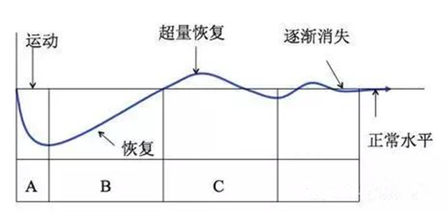 活水减肥的原理_香港龙益生远红外智能发热腰带减肥原理