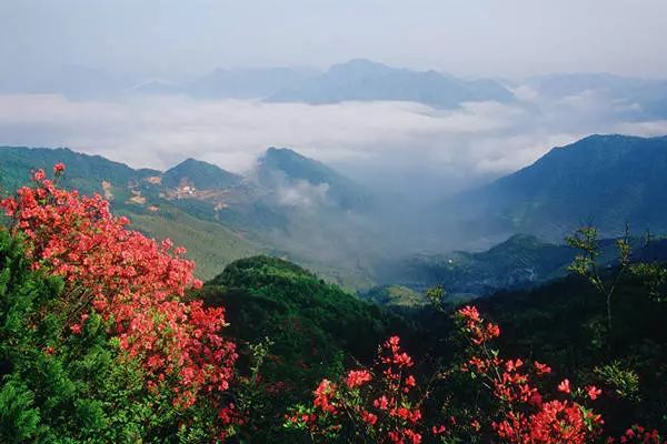 永嘉四海山