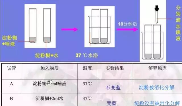 什么是过氧化值 其测定原理是什么(2)