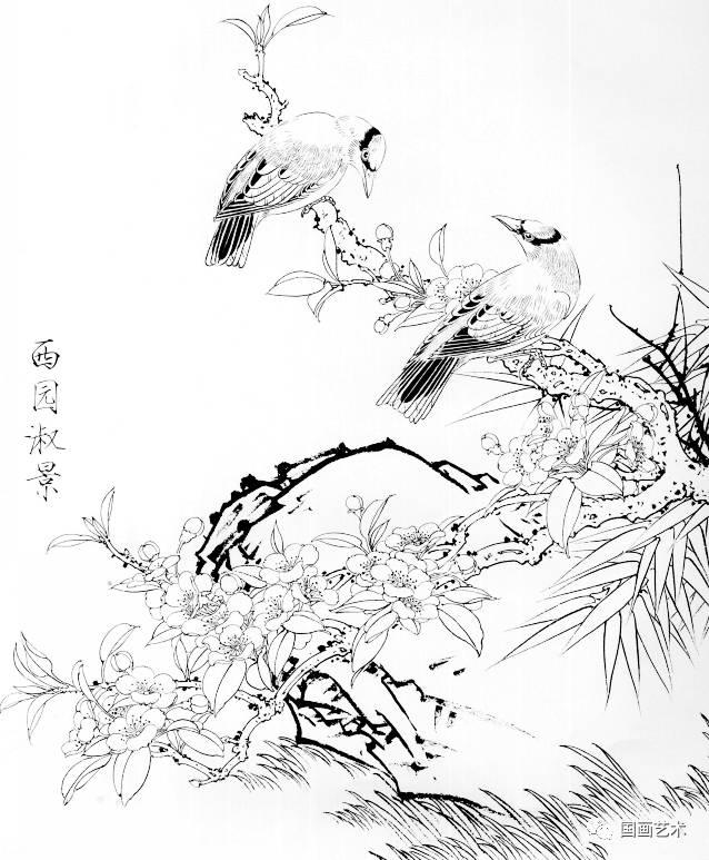 花卉禽鸟白描画稿选页欣赏