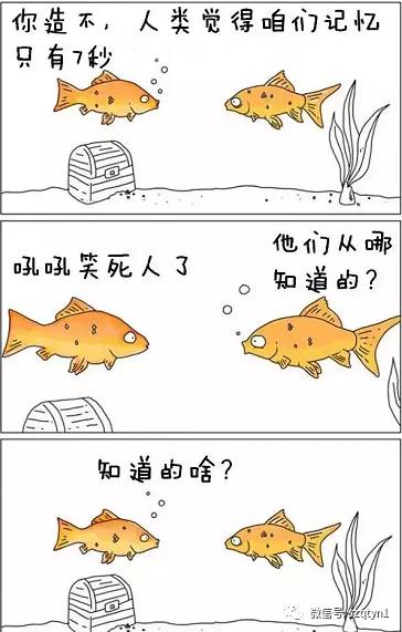 超有趣的漫画:"如果动物会说话!