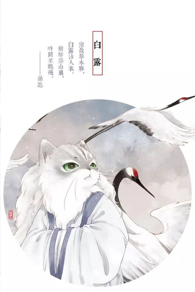 鸿雁来,玄鸟归,群鸟养羞——今日白露