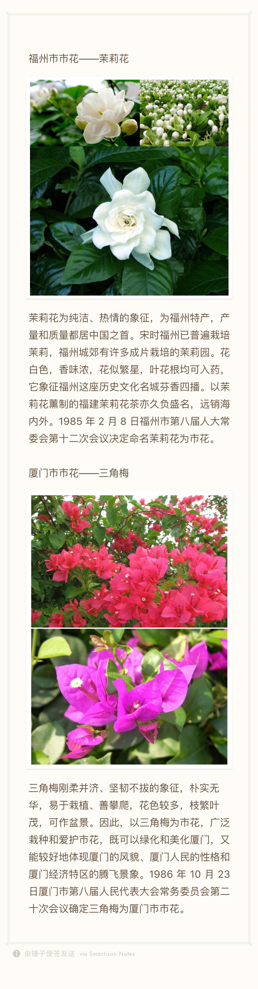 那年花开月正圆,福建各市市花有赏