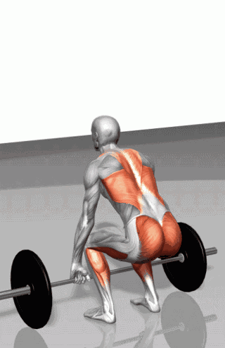 6,负重提踵 训练肌群:小腿肌肉,也可拉伸跟腱,增加跟腱的弹性