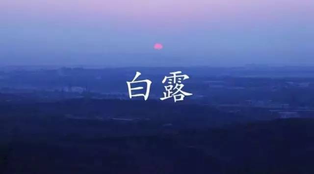 今日白露露从今夜白月是故乡明