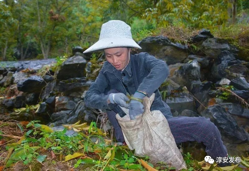 比过年还开心!瑶山,王阜等6个乡镇迎来一年中含"金"量最高的"节日"