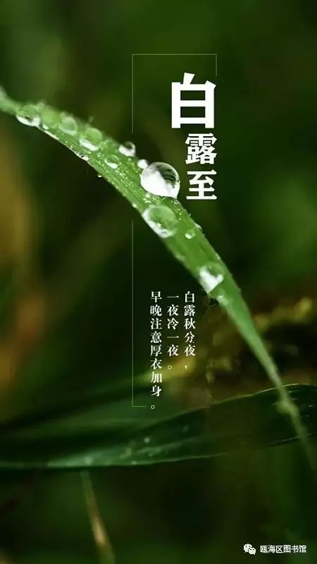 今日白露至,全年温差最大的节气来了