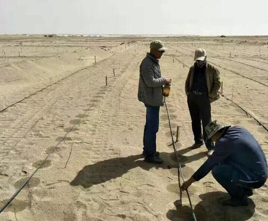 从以色列沙漠农业我们可以学到什么?