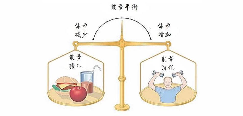 【关注健康】吃动两平衡,身体棒起来!