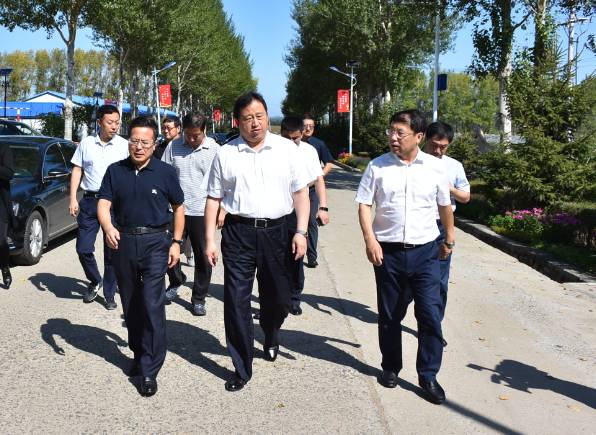 鸡西市委副书记陈哲调研虎林市美丽乡村建设,大米营销