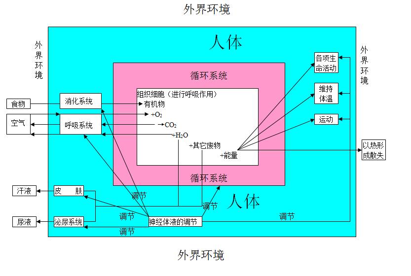 圈中的人口_字母圈中k9训练的姿势(3)