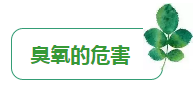 臭氧并不臭,还是一种大气污染物!快来看看它的危害和防治吧!