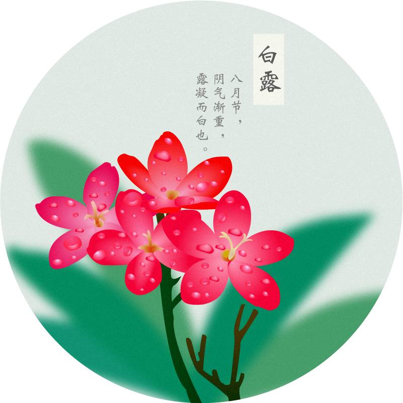 你还是我认识的那个"白露节气"吗?