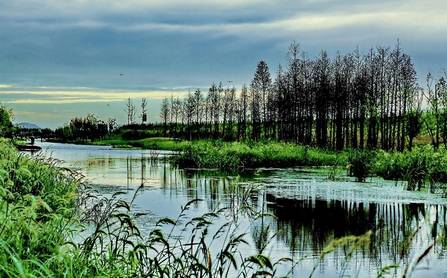 白露之后,风景更佳,滨湖湿地公园内,微凉秋风,斑斓秋色惹人醉.