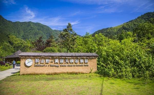 醉山野