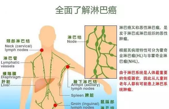 淋巴疏通什么原理_腋下淋巴疏通刮痧图解