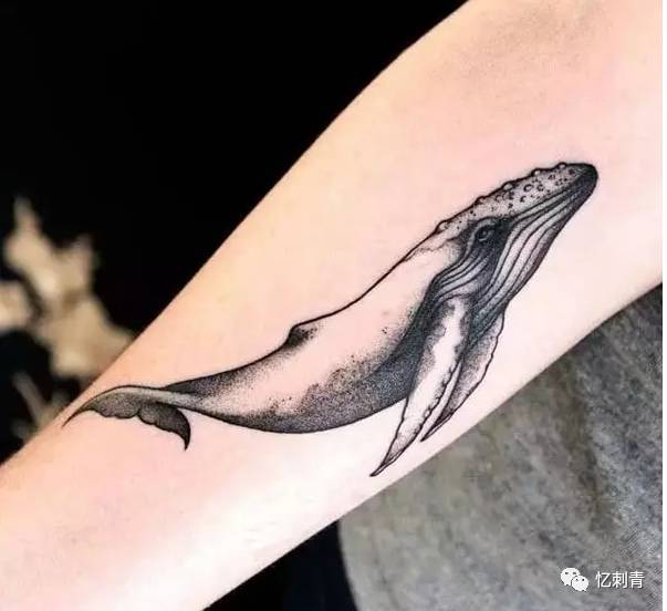 鲸鱼纹身:选择一种温和的生活方式