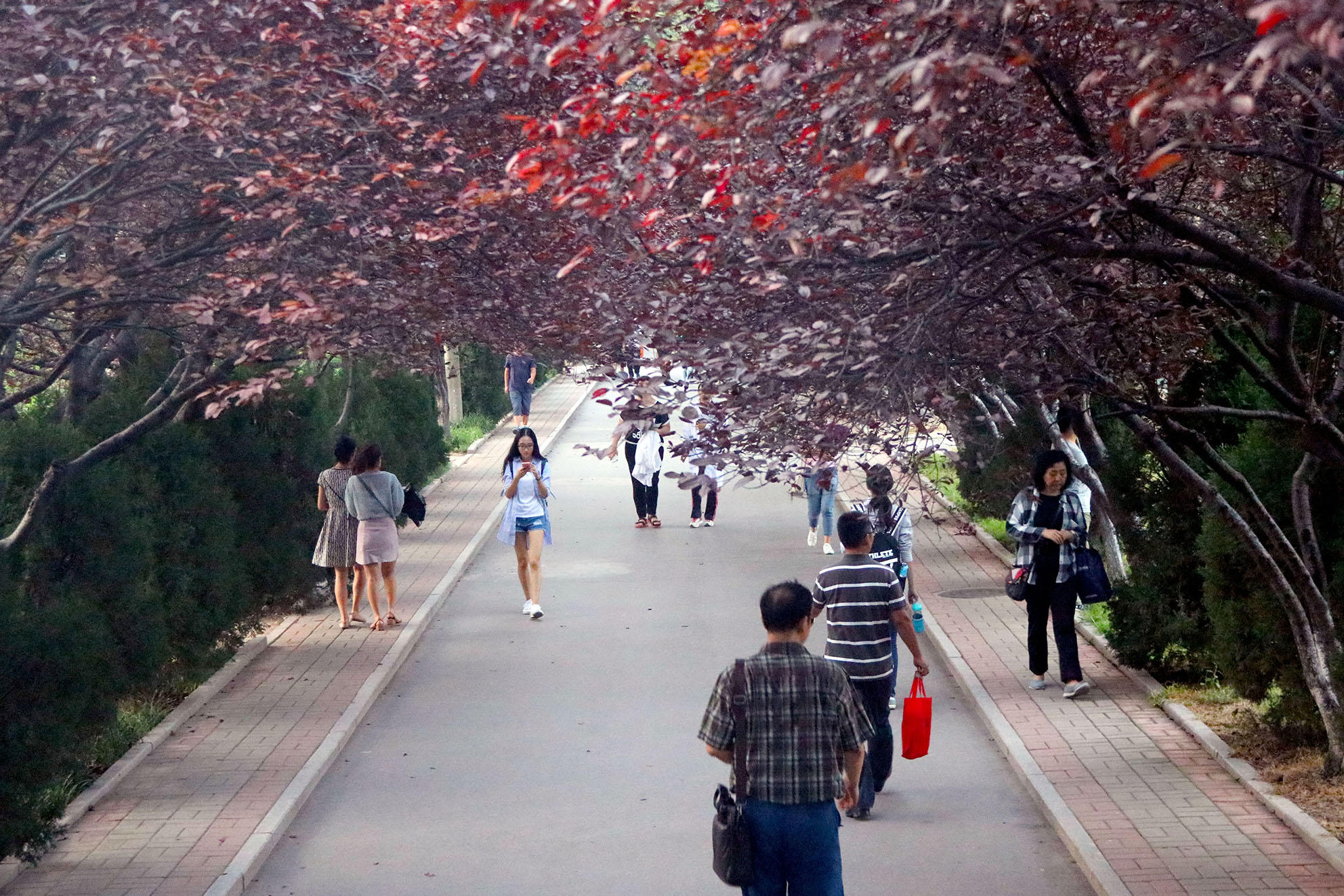 开学季,山东师范大学校园秋季景色迷人醉!