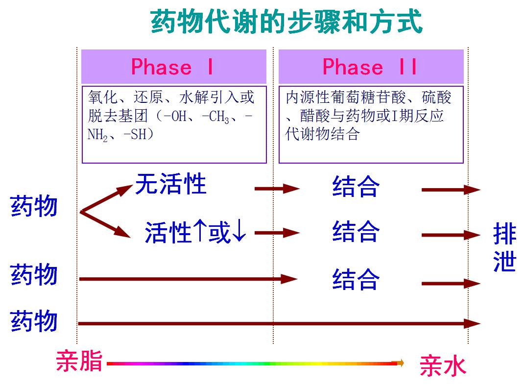 药物及其代谢产物通过排泄器官被排除体外的过程