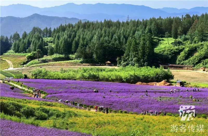 资讯|清原第三届岗山生态户外旅游节开幕