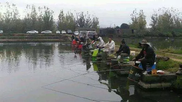 【传钓学堂】秋季黑坑钓鲤鱼,这些技巧要牢记