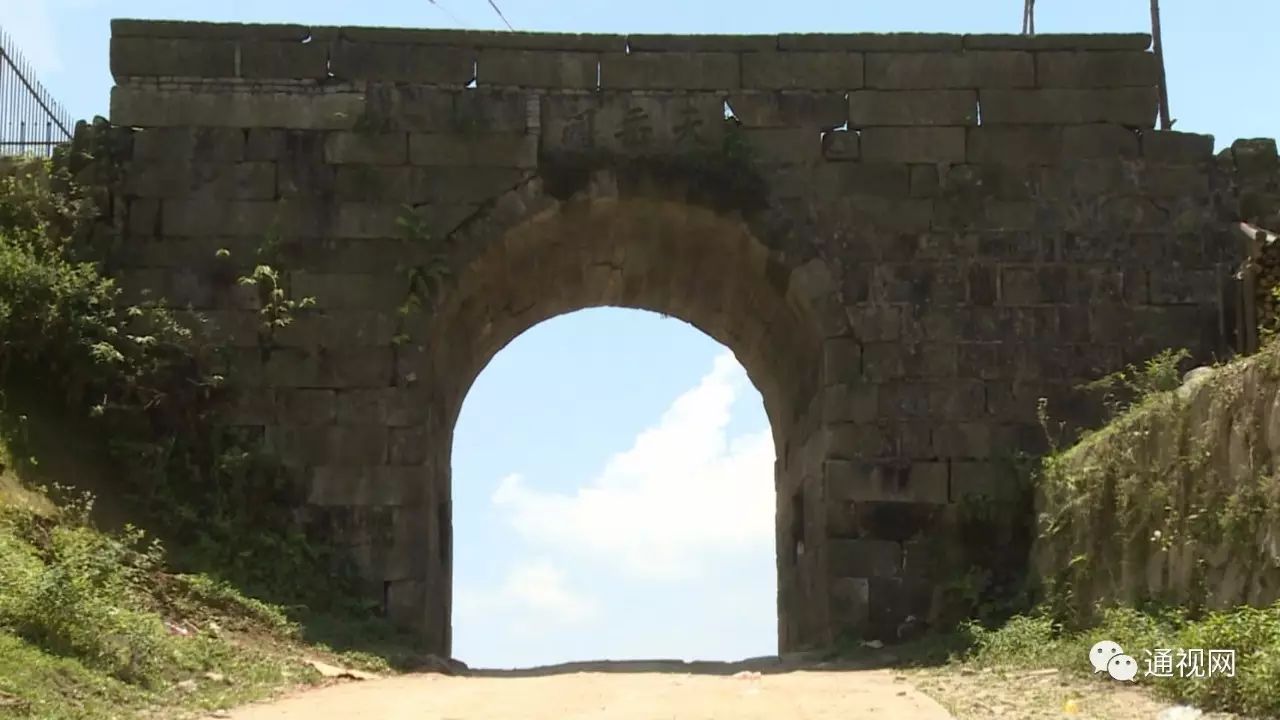 考古专家教授到通城县考察尧家林,天岳关文化