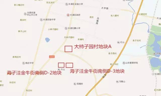 的图文内容,对"大柿子园村地块a(g034),长清区文昌街道办事处海子洼