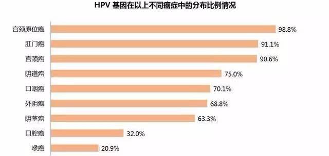 病毒淘汰人口_人口普查(2)