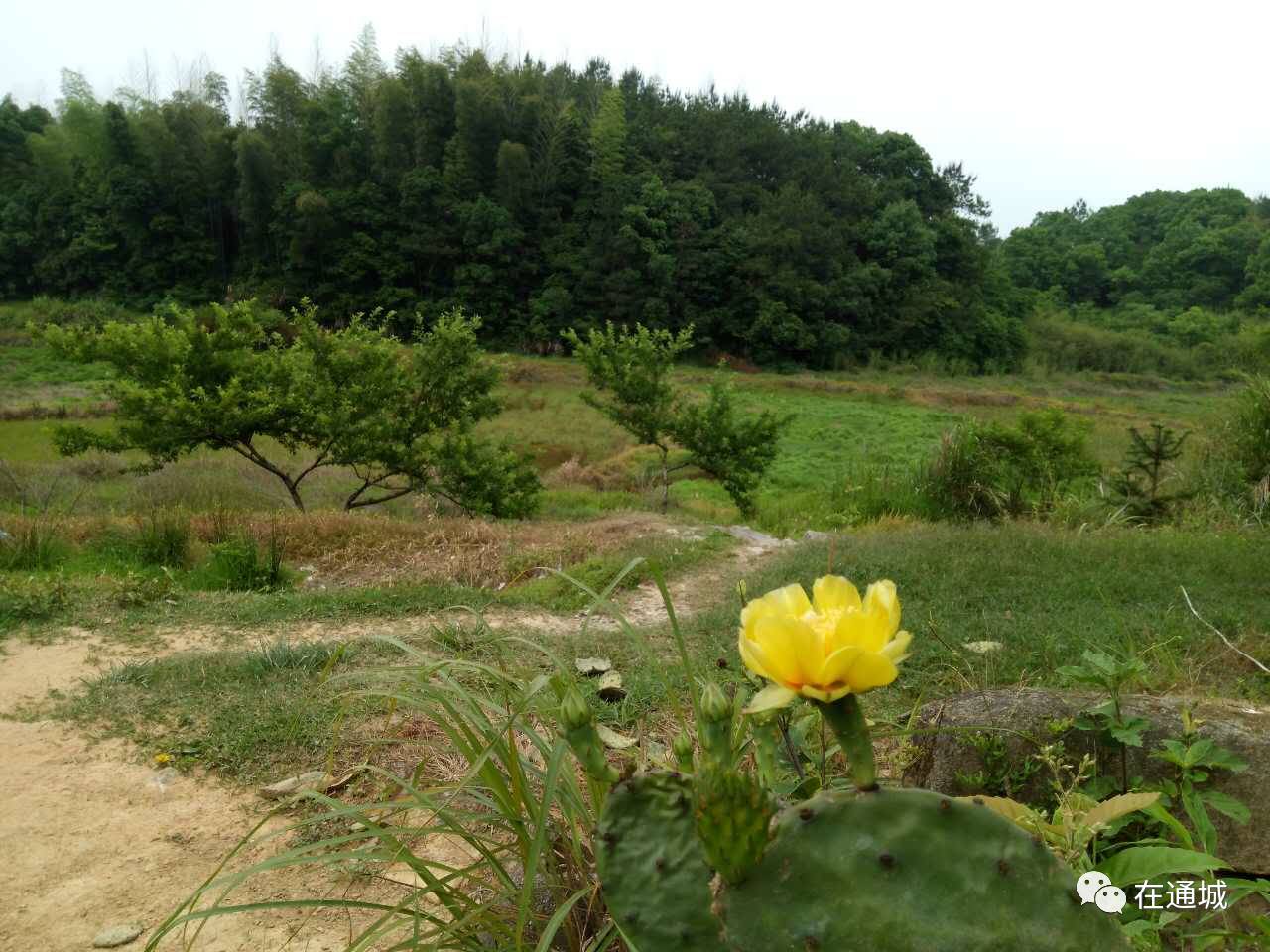 湖北通城多少人口_湖北通城照片(2)